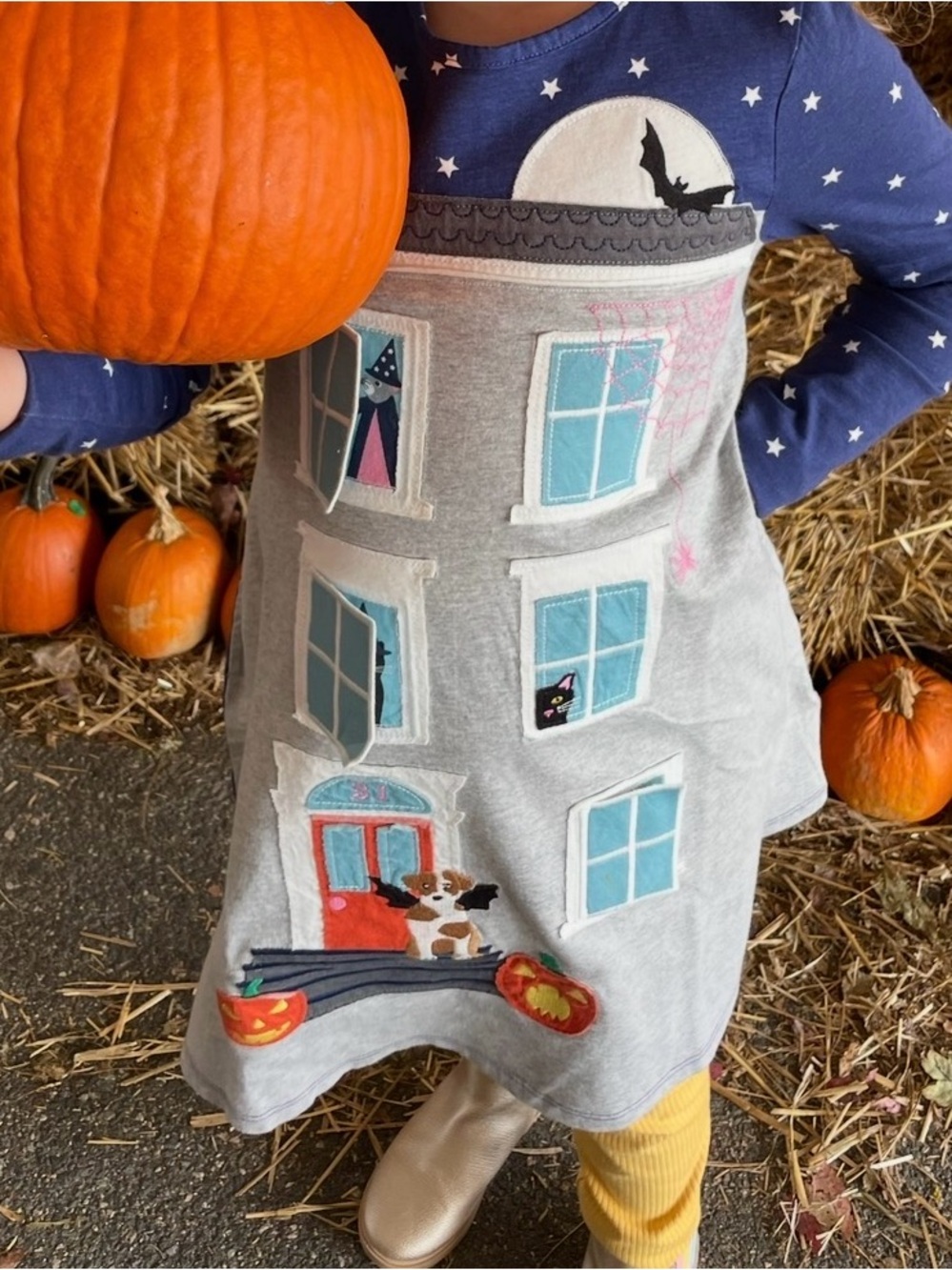 Mini Boden Lift the Flap Halloween Dress, size 7-8 years